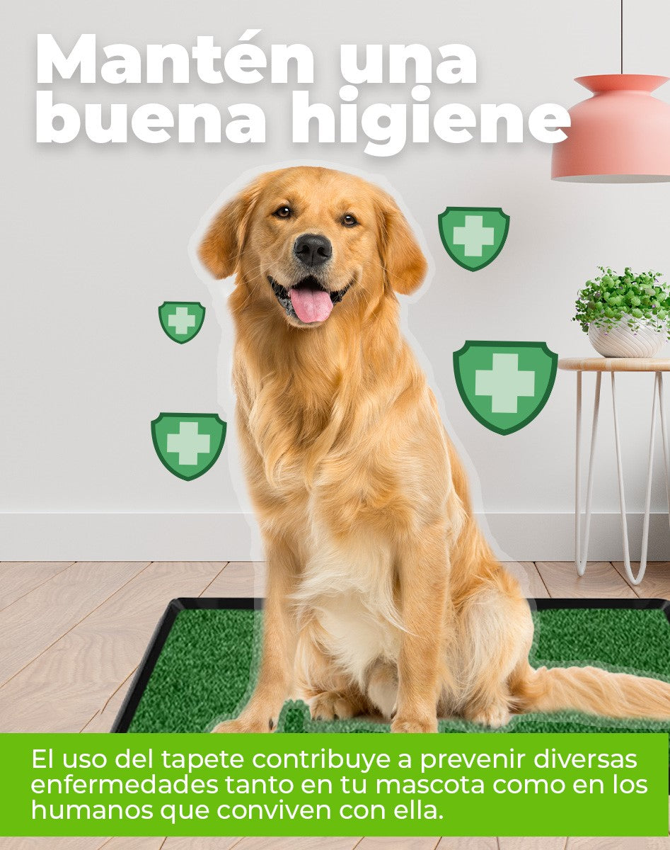 TAPETE ENTRENADOR PARA PERRO + OBSEQUIO 🎁