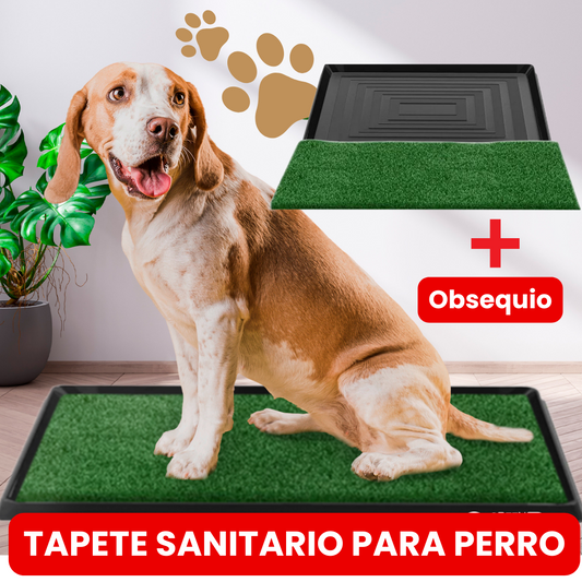 TAPETE ENTRENADOR PARA PERRO + OBSEQUIO 🎁