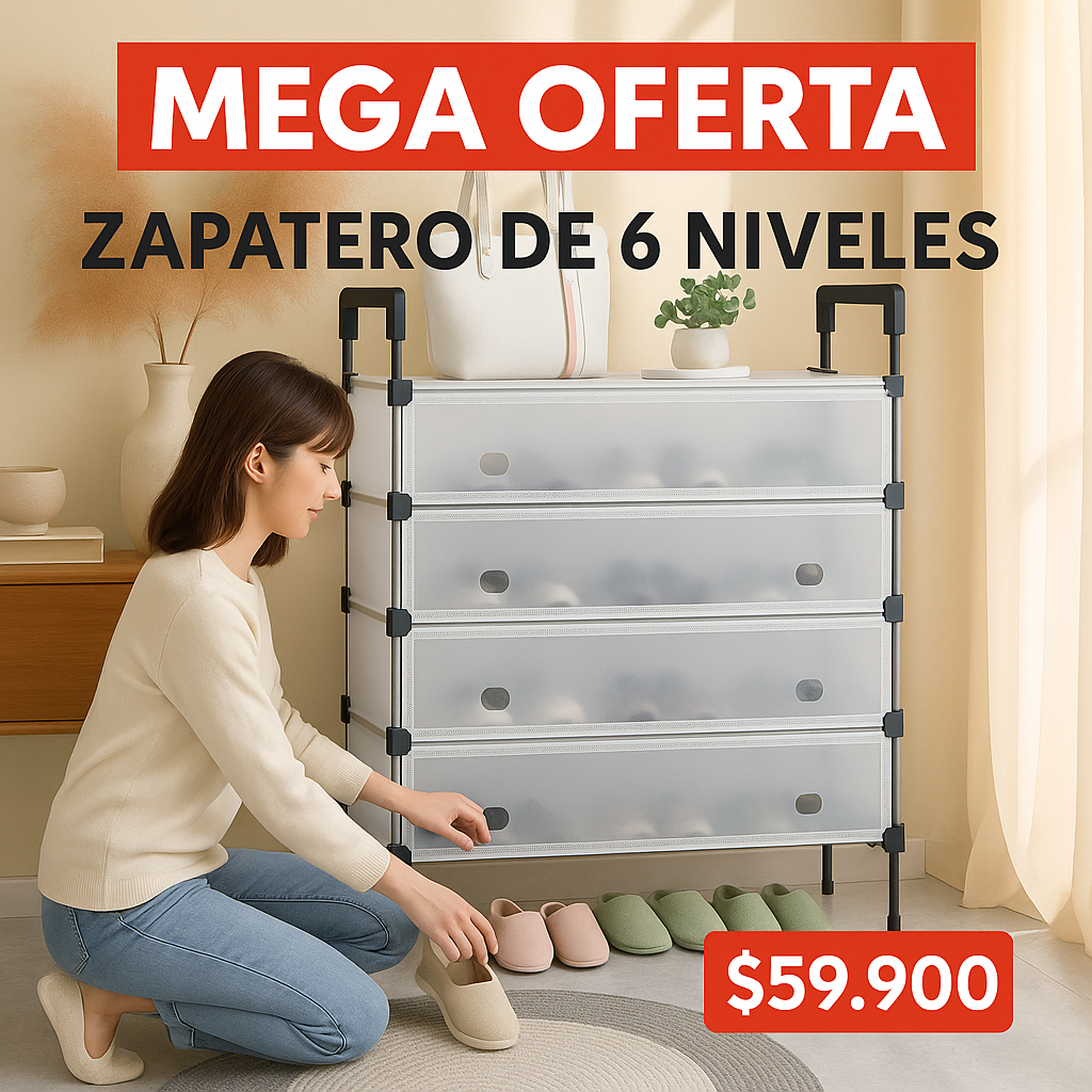 Organizador de zapatos 6 niveles con cajones